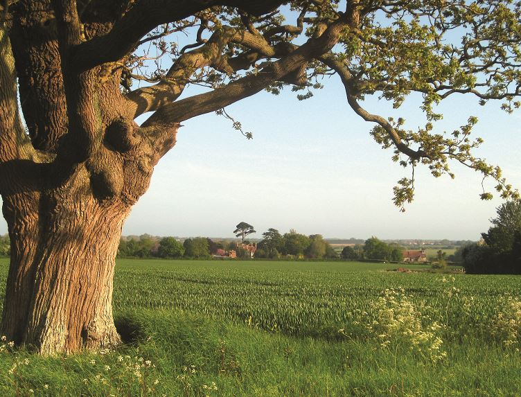 Arundel countryside 